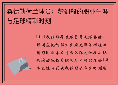 桑德勒荷兰球员：梦幻般的职业生涯与足球精彩时刻