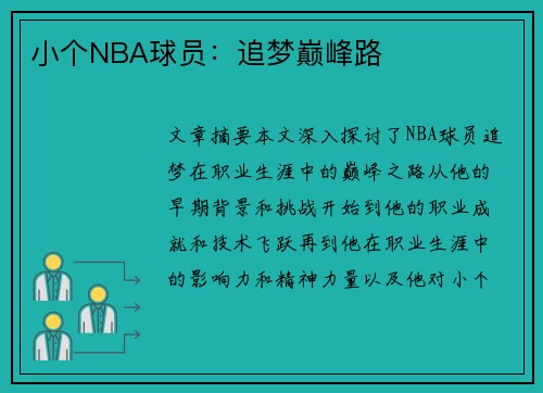小个NBA球员：追梦巅峰路